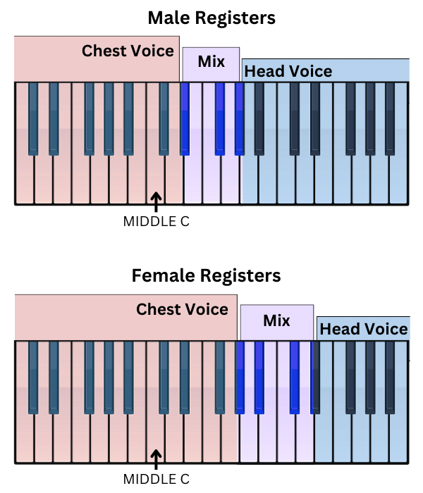 Male and female registers shown on a piano keyboard