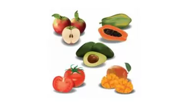 singing diet